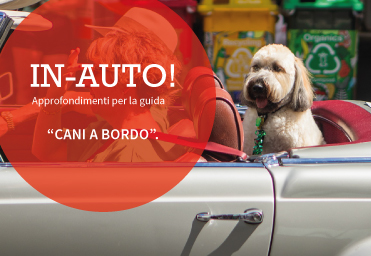 Trasporto cani in auto: cosa dice il codice della strada?